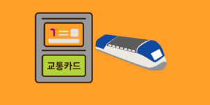 청년 맞춤형 기후동행카드 지하철 사진